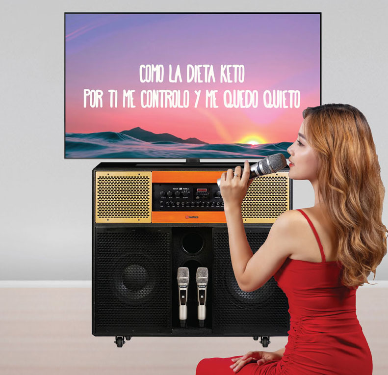 Loa Sumico Home Station 10