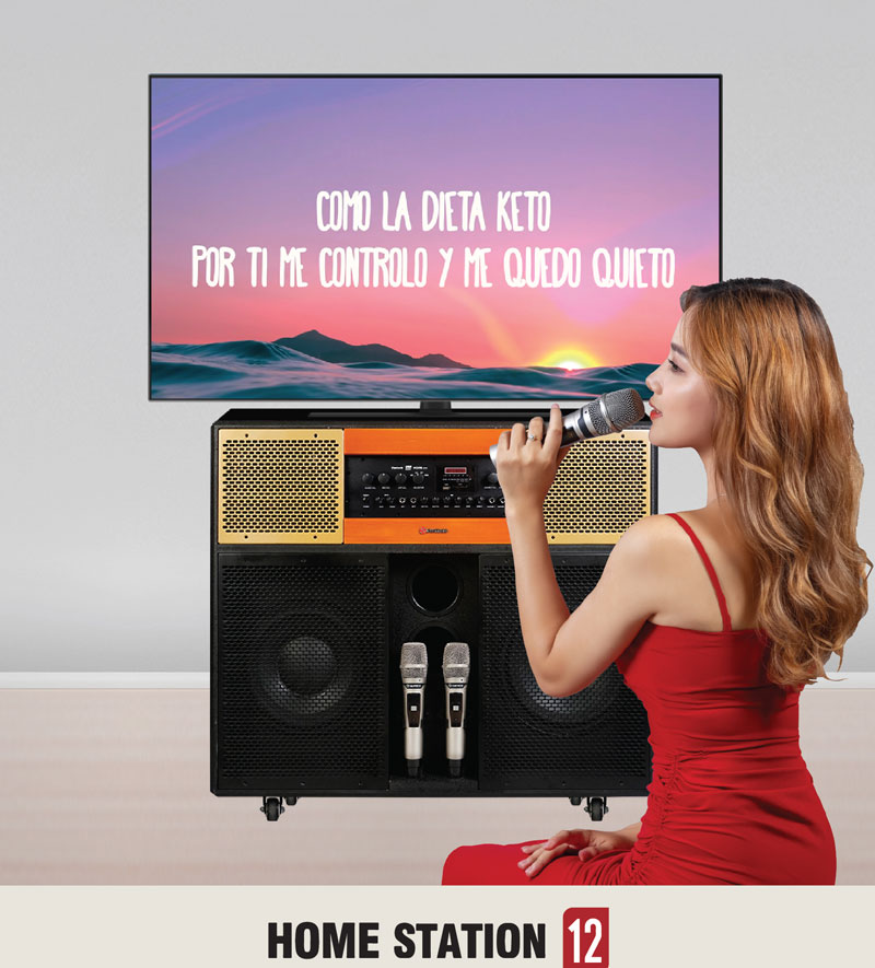 Loa Sumico Home Station 12