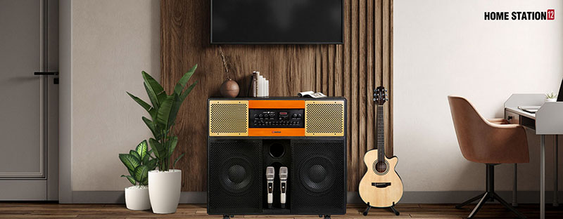 Loa Sumico Home Station 12