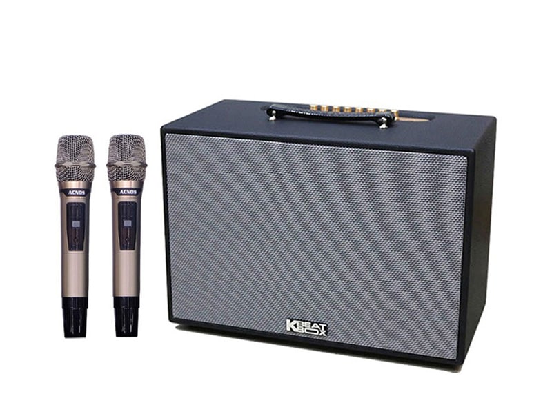 Loa x&aacute;ch tay Acnos CS2501PU