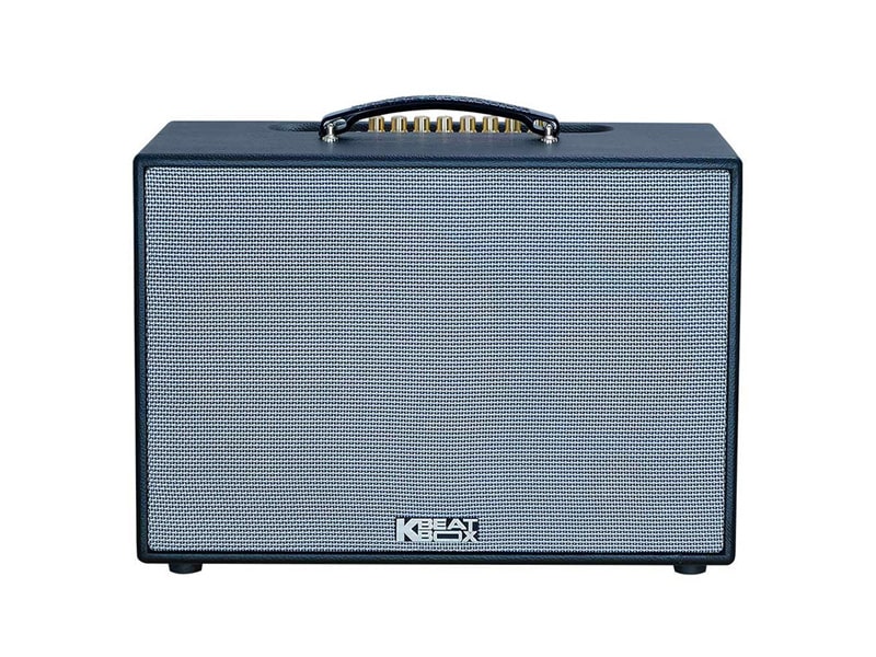 Loa x&aacute;ch tay Acnos CS2501PU