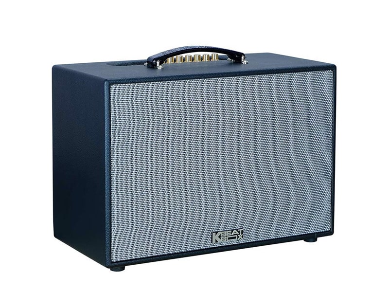 Loa x&aacute;ch tay Acnos CS2501PU