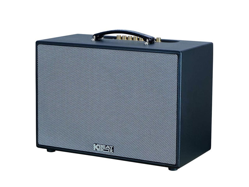 Loa x&aacute;ch tay Acnos CS2501PU