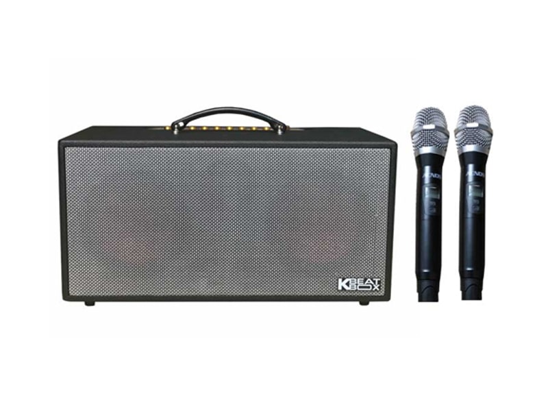 Loa x&aacute;ch tay Acnos CS450SR