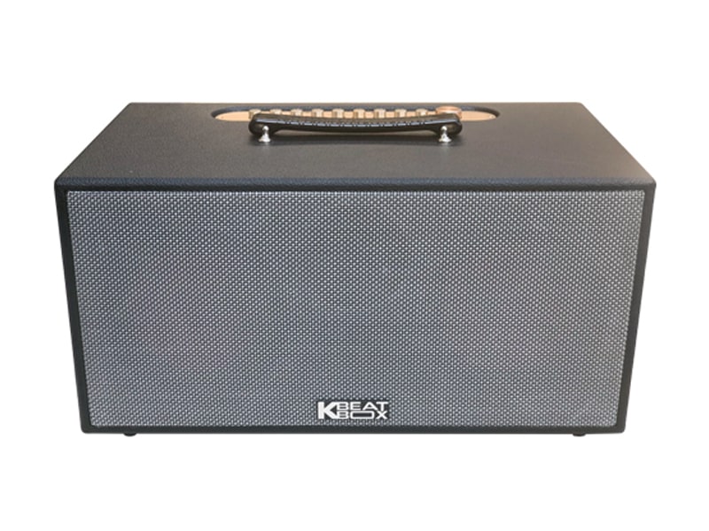 Loa x&aacute;ch tay Acnos CS450SR