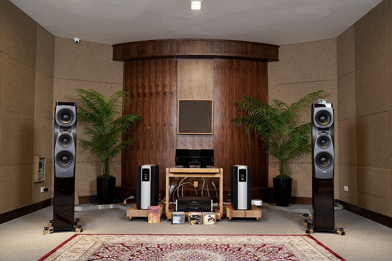 loa dynaudio confidence 30