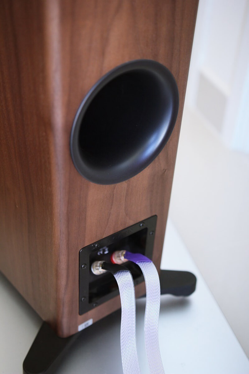 loa dynaudio evoke 50