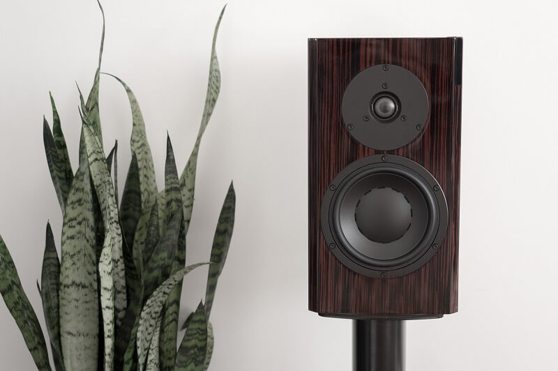 Loa Dynaudio Focus 20XD (Bookshelf)