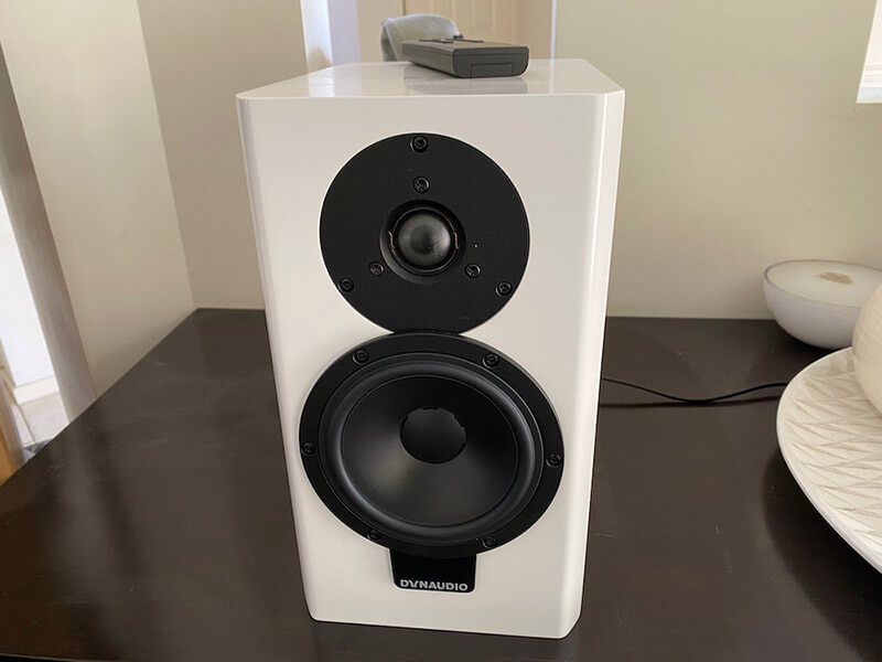 loa dynaudio xeo 20