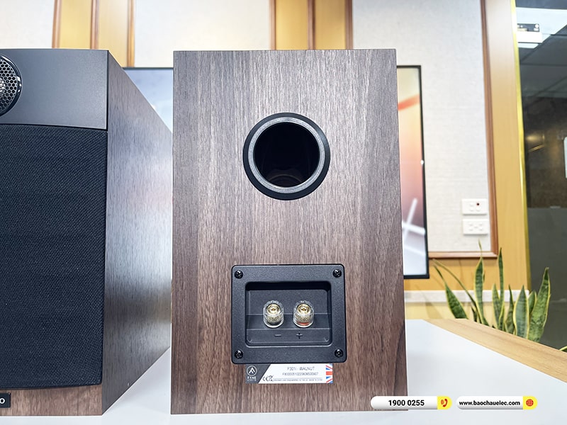 Loa Fyne Audio F301i