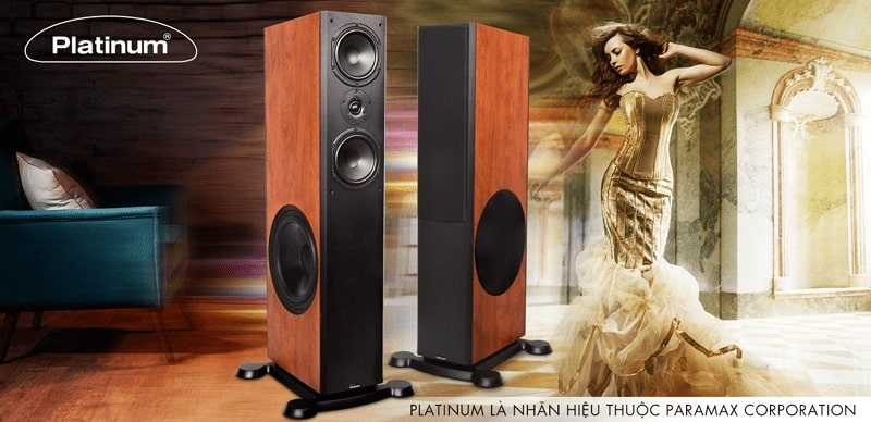 Loa nghe nhạc paramax D88 hay nhất 2020