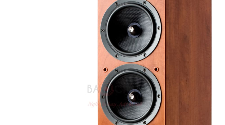 Loa Jamo C605 là hệ thống 3 loa, 3 đường tiếng