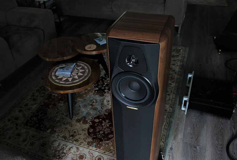 Loa Sonus Faber Maxima Amator (Made in Italy)