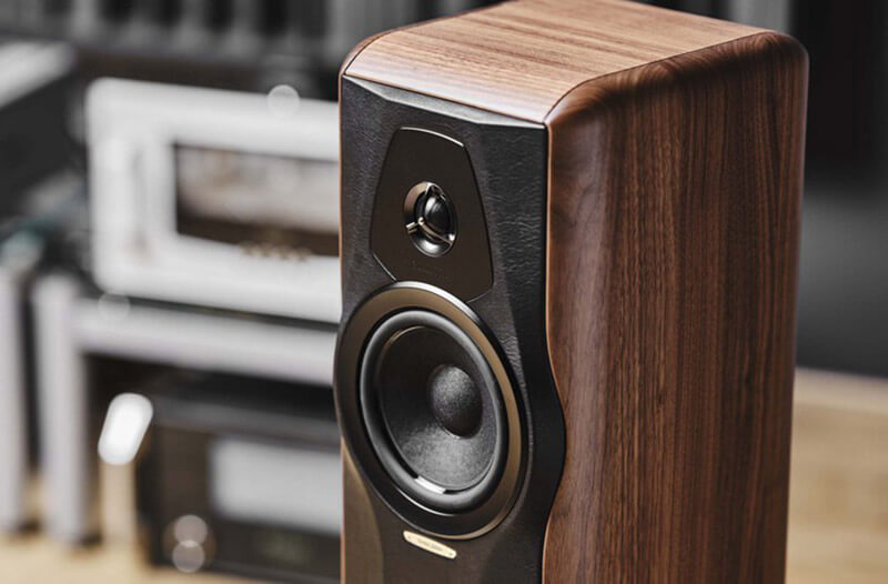 Loa Sonus Faber Maxima Amator (Made in Italy)