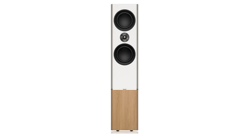 Loa Tannoy Platinum F6