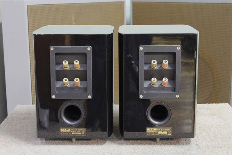 Loa Teac S-300NEO nhỏ gọn, nghe nhạc cực hay, chính hãng
