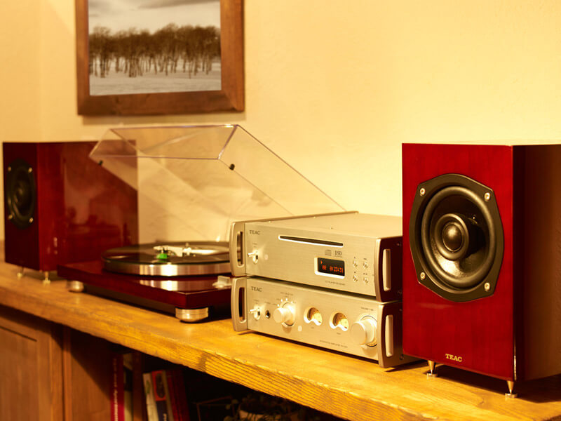 Loa nghe nhạc Teac S-300NEO