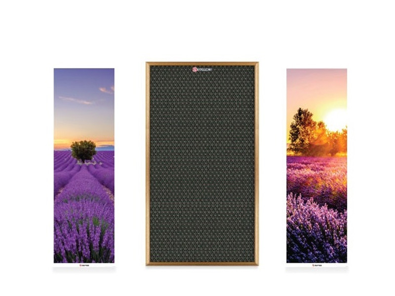 Loa tranh Sumico Canvas 1216