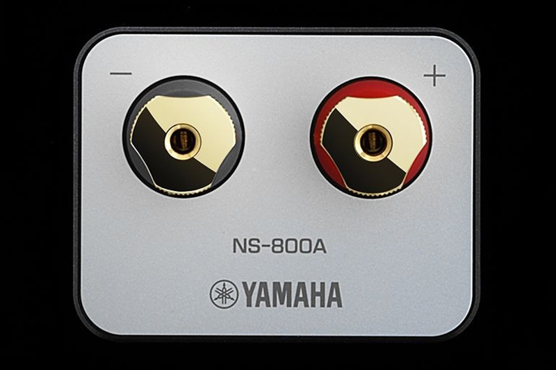 Loa Yamaha NS-800A