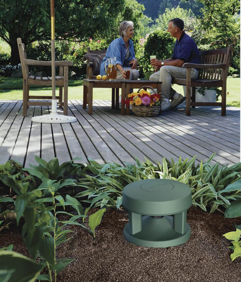 Loa Bose FreeSpace 360P II