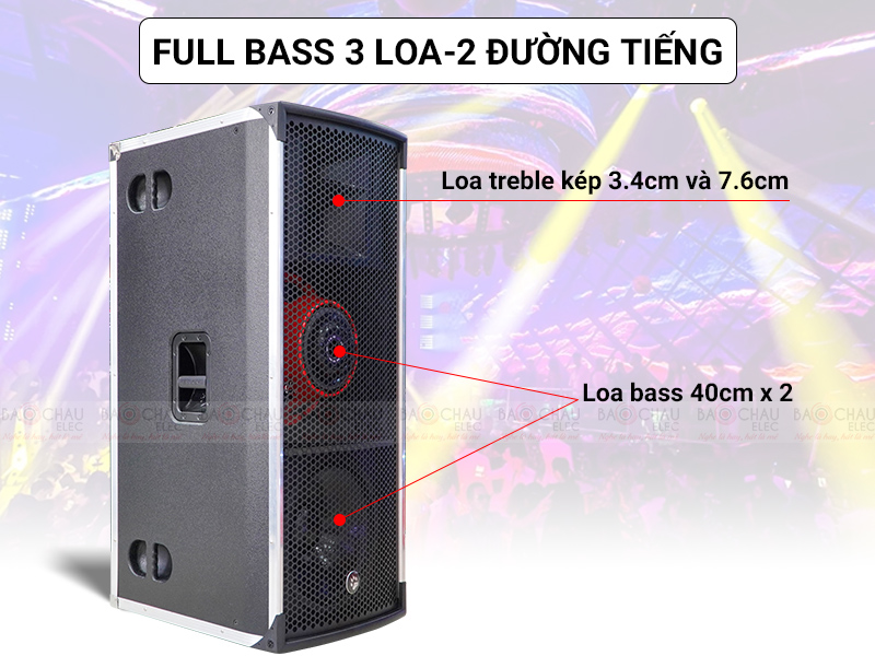 Loa hội trường - s&acirc;n khấu CatKing Pro 2.5+