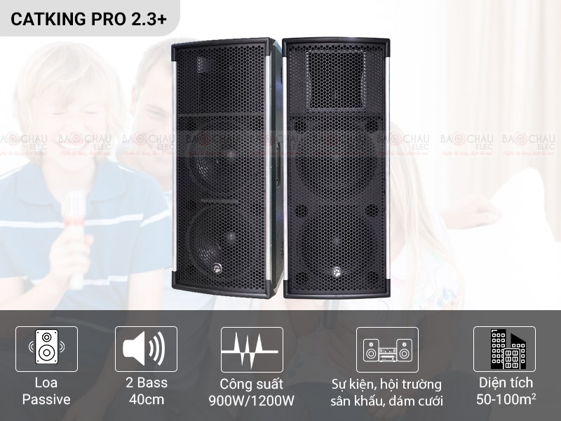 Loa hội trường Catking Model PRO 2.3+