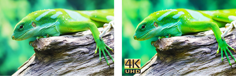 Máy chiếu Optoma UHD65 có độ phân giải 4K