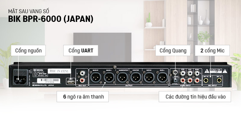 Mặt sau vang số BIK BPR-6000