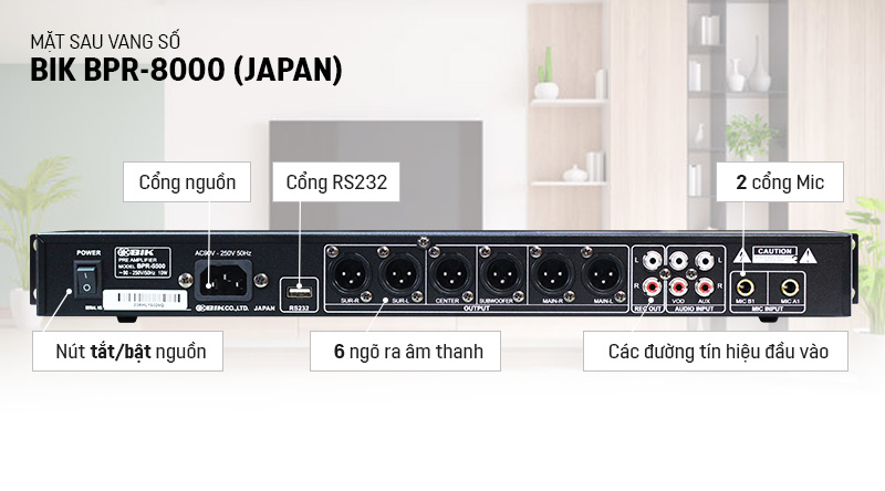 Mặt sau vang số BIK BPR-8000