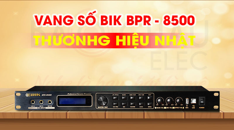 Vang số BIK BPR-8500 hiện đại, thương hiệu Mỹ