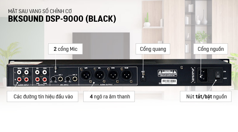 Mặt sau vang số BKSound DSP-9000 Black