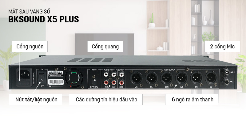 Mặt sau vang số BKsound X5 Plus