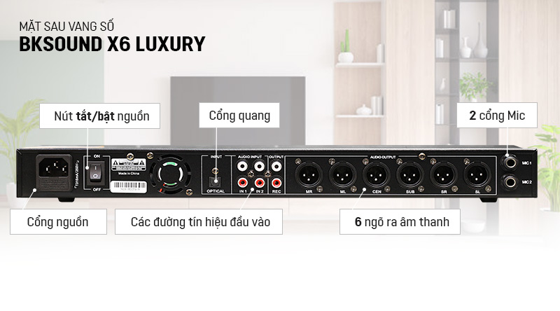 Mặt sau vang số BKsound X6 Luxury