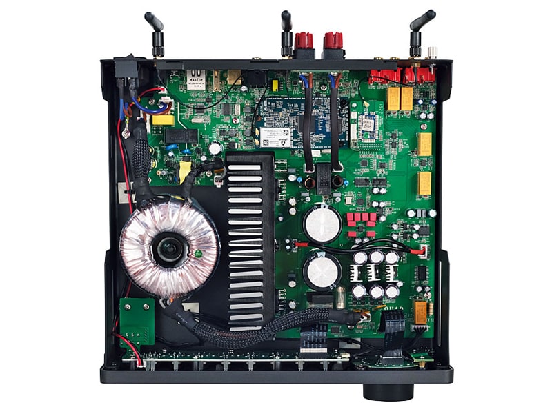Amply Quad Vena II Play