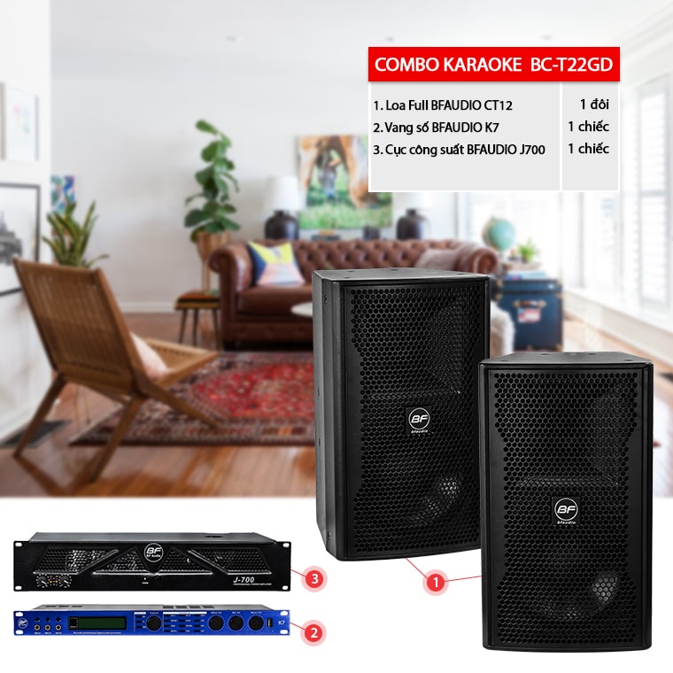 Dàn karaoke gia đình BC-T22GD