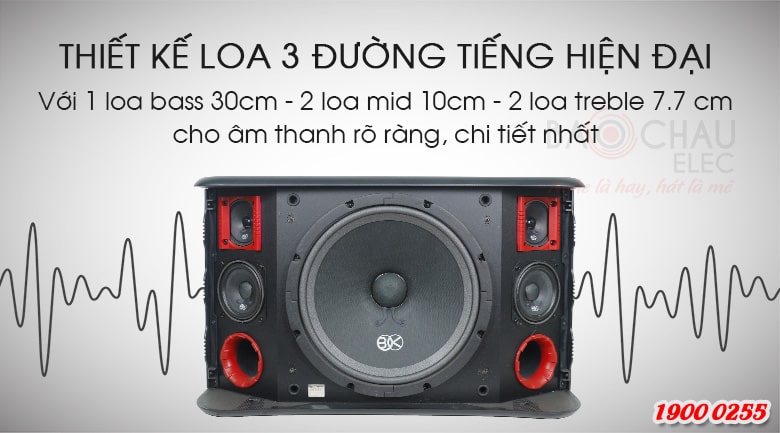 Loa karaoke BIK BJ-S968 trang bị củ bass 30cm