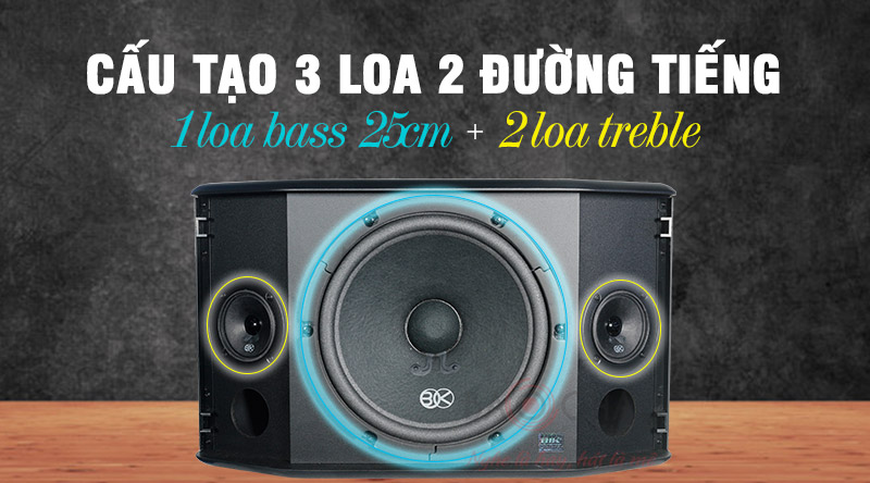 Loa karaoke BIK BJ S63 giá rẻ