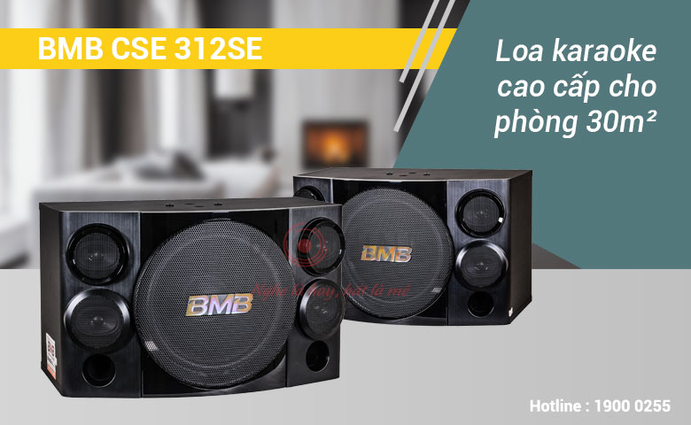 Loa BMB CSE 312 hiện đại, bền đẹp, cao cấp