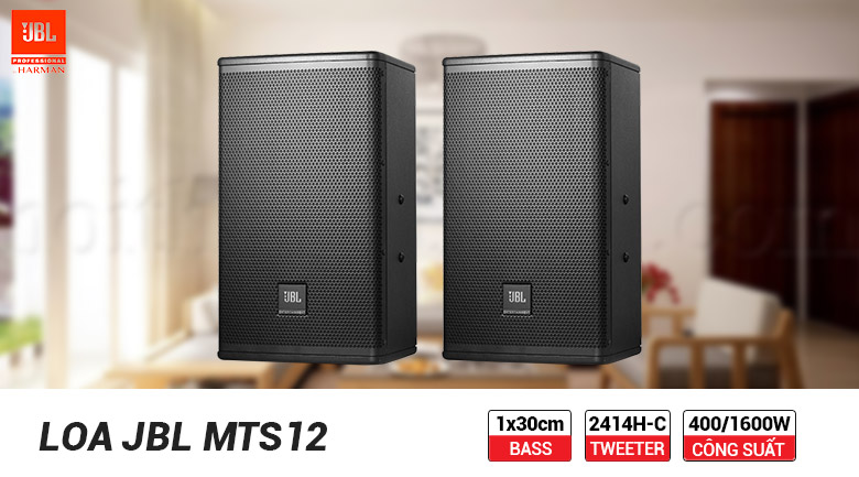 Loa JVL MTS12 công suất mạnh mẽ, cực đại lên tới 1600W