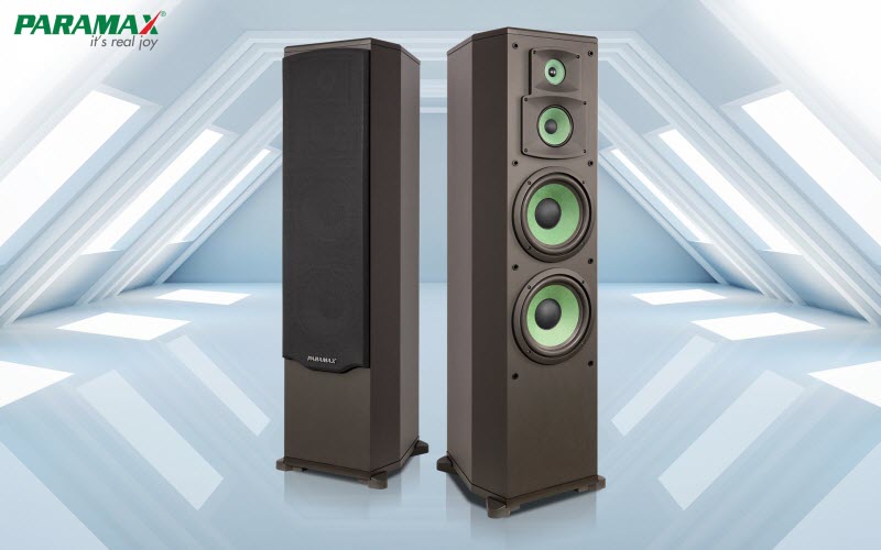 Loa Paramax F1000 New hát karaoke cực hay, nghe nhạc cực đã