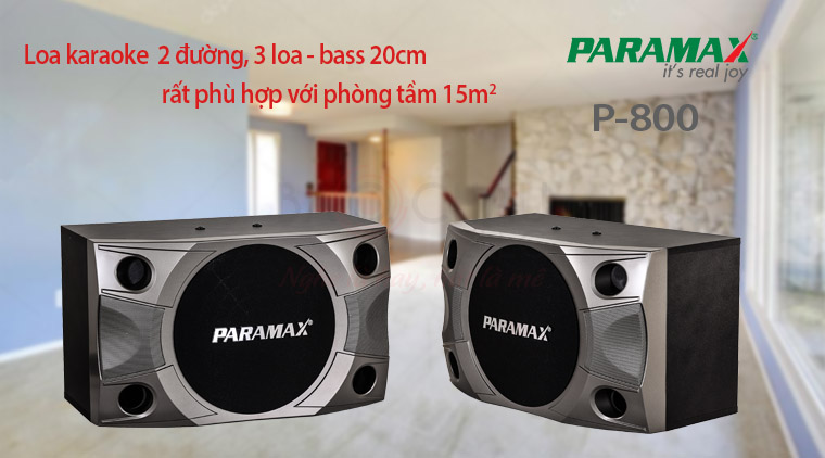 Loa Karaoke Paramax P800 nhỏ gọn, sang trọng