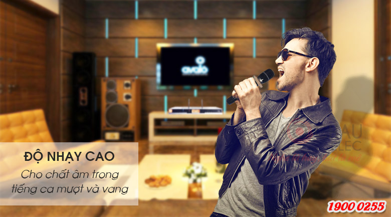 Micro không dây BBS B900 hát nhẹ