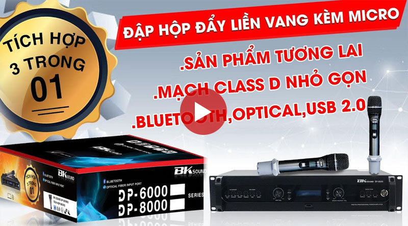 Đẩy liền vang kèm micro không dây BKsound DP6000