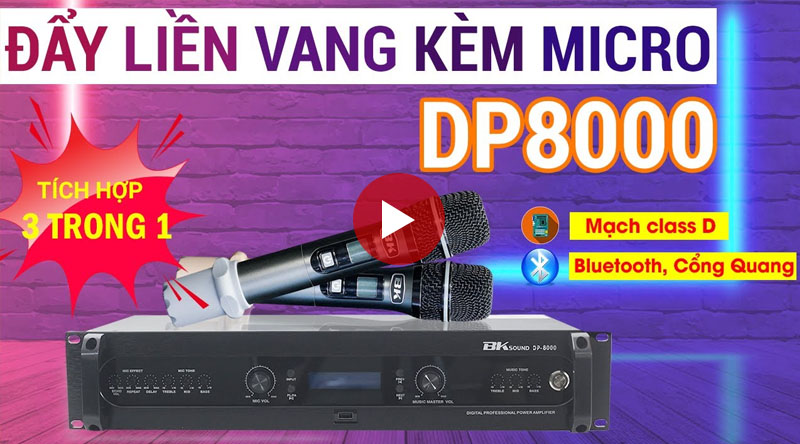 Đẩy liền vang kèm micro không dây BKsound DP8000