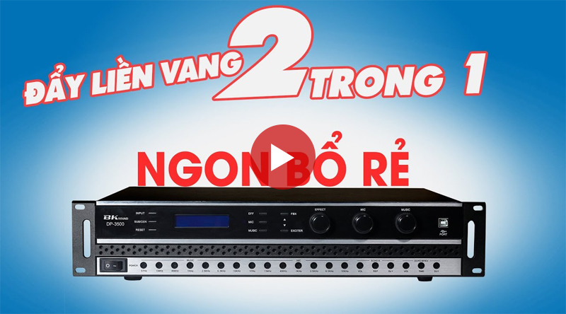 Đẩy liền vang BKsound DP3500