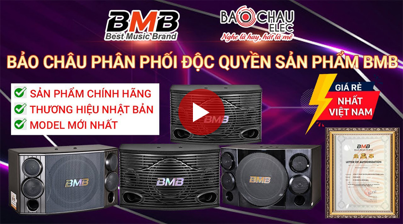 loa karaoke BMB CSE312SE