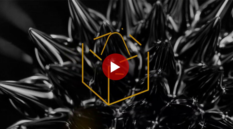 video giới thiệu Loa Dali Oberon 5