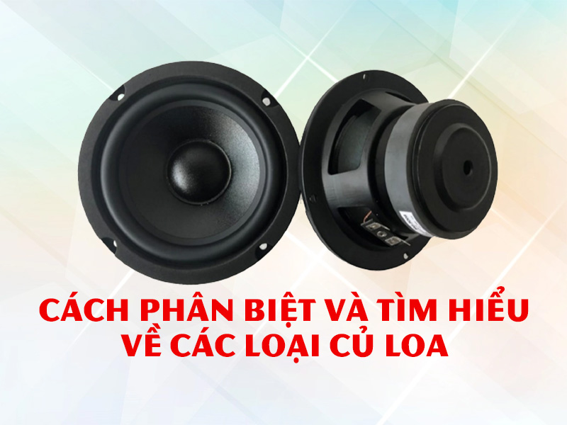 Cách phân biệt và tìm hiểu về các loại củ loa hiện nay?