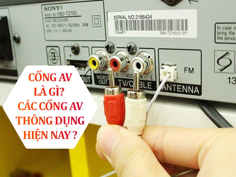 Cổng AV là gì? Các cổng AV thông dụng hiện nay?