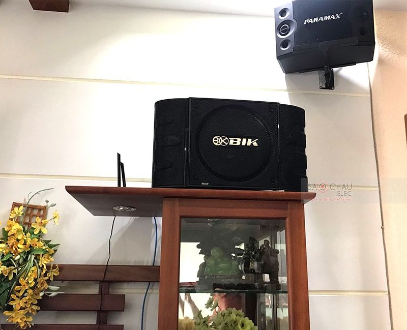 Loa karaoke BIK BS999X đặt kệ tủ gia đình
